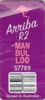 Manbulloo arriba r2 57789 grown in Australia