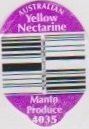 Manto produce australian yellow nectarine 4035