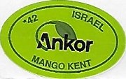 Ankor 42 israel mango kent