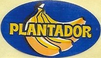 Plantador