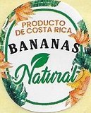 Natural bananas producto de costa rica