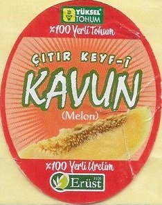 Kavun melon citir keyf i yuksel tohum 100 yerli tohum erust