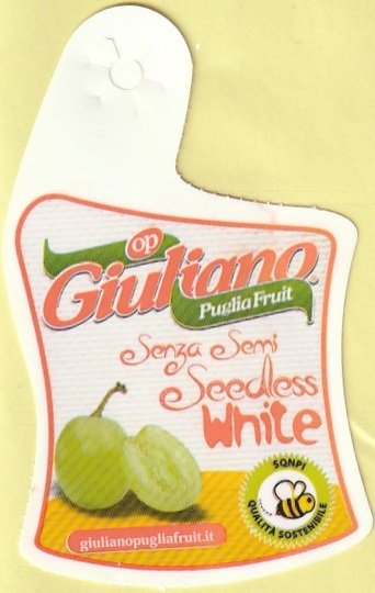 giuliano op puglia fruit senza semi seedless white giulianopugliafruit.it sqnp qualita sostenibile