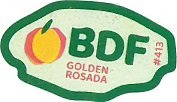 bdf golden rosada #413