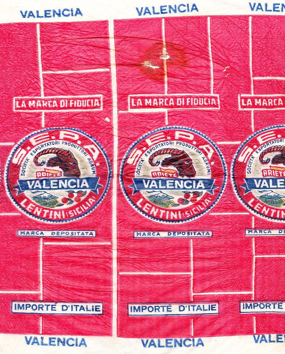 Ariete valencia s.e.p.a. lentini sicilia importe d italie