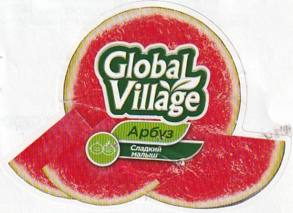 global village