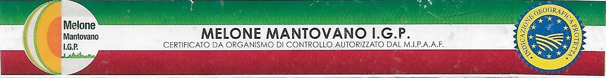 Melone mantovano igp  certificato da organismo di controllo autorizzato dal mipaaf