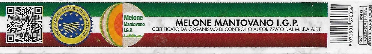 Melone mantovano igp  certificato da organismo di controllo autorizzato dal mipaaf 8031301670359