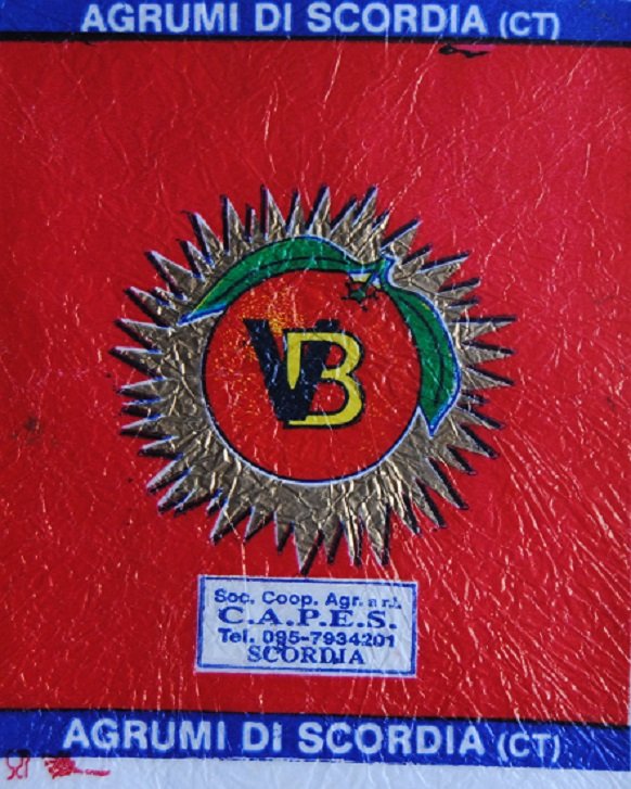 vb c.a.p.e.s. agrumi di scordia importe d italie