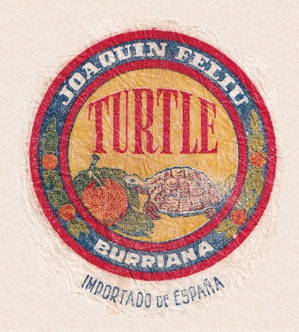 turtle joaquin feliu burriana importado de espana