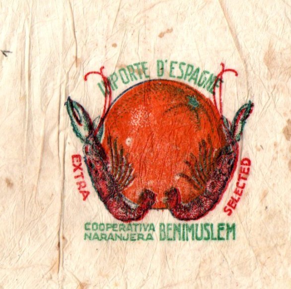 cooperativa naranjera benimuslem importe d espagne