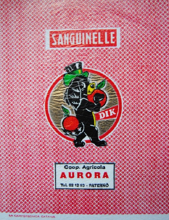 Dik coop. agricola aurora paterno