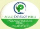 Agro Develop peru pomegranate peru plu #3127