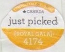 Just picked compostable canada royal gala 4174