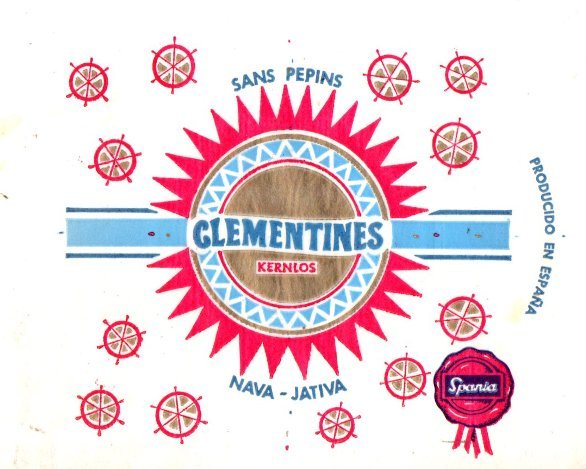 Clementines kernlos nava jativa sans pepins spania