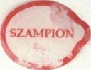 Szampion