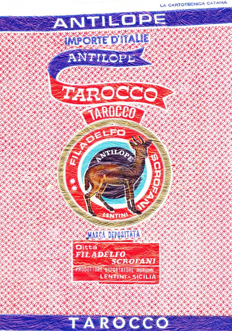 Tarocco antilope filadelfo scrofani lentini limoni di siracusa importe d italie