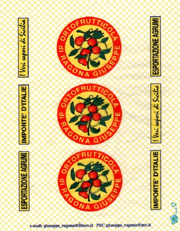 Ortofrutticola di ragona giuseppe esportazione agrumi importe d italie giuseppe_ragona@libero.it
