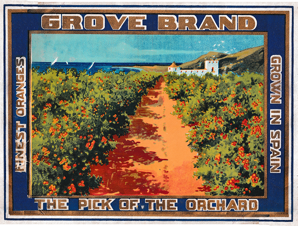 Grove brand the pick of the orchand grown in spain