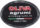 oliva agrumi olivaagrumi.it made in italy