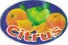 citrus