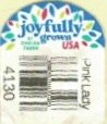 Joyfully grown usa by chelan fresh 4130 pink lady