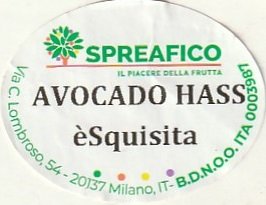 spreafico il piacere della frutta avocado hass esquisita