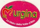 la murgina la mela della valle d itria