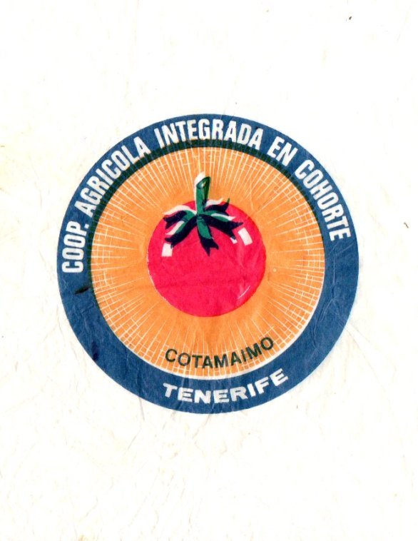 Cotanaimo coop. agricola integrada en cohorte tenerife