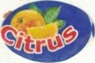 citrus