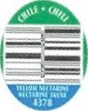 Chile Chili yellow nectarine nactarine jaune 4378