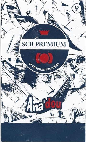 scb premium compagnie fruitiere ana dou 9 cueilli mur a point cet ananas vous enveloppe de ses subtiles saveurs sucrees 3661273099046 costa rica