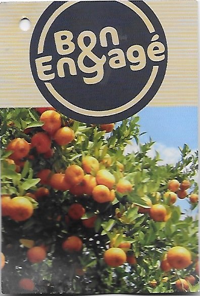 Bon & engage clementines sando origine espagne 1500g 3061436100785