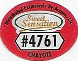 Sweet sensation #4761 chayote