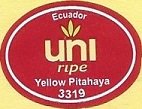 Uni ripe yellow pitahaya 3319 ecuador