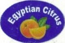 Egyptian Citrus