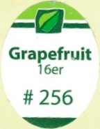 Grapefruit 16er #256