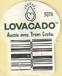 lovacado 5074 aussie avos from costa
