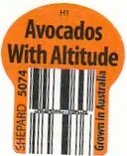 h1 avocados with altitude shepard 5074 grown in australia