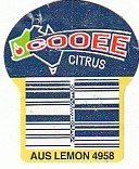 cooee citrus aus lemon 4958