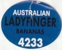 australian lady finger bananas 4233