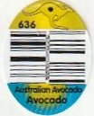 636 australian avocado avocado