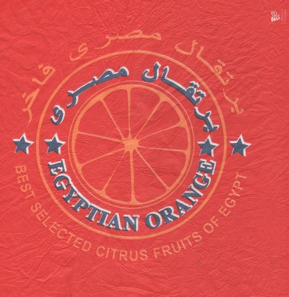 Egyptian orange best selected citrus fruits of egypt