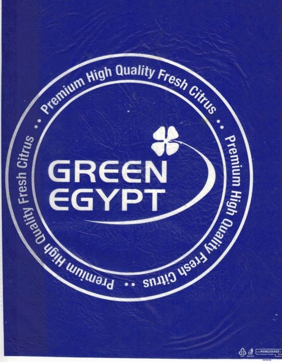 green egypt premium high quality fresh citrus