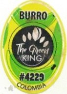 The Green King burro #4229 colombia