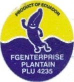 Fgenterprice product of ecuador plantain plu 4235