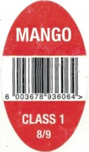 Mango 6003678936064 class 1 8/9
