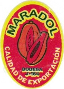 Maradol calidad de exportation bodega j-164