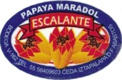 Escalante papaya maradol bodega v 162 iztapalapa d.f abastos