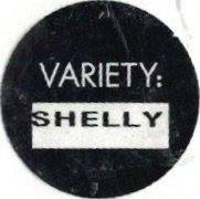 variety: shelley